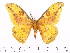  ( - BC-ULP0310)  @14 [ ] Copyright (2010) Unspecified Research Collection of Ulrich and Laela H. Paukstadt
