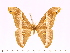  ( - BC-ULP0416)  @11 [ ] Copyright (2010) Unspecified Research Collection of Ulrich and Laela H. Paukstadt