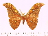  ( - BC-ULP0435)  @13 [ ] Copyright (2010) Unspecified Research Collection of Ulrich and Laela H. Paukstadt