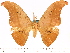  ( - BC-ULP0448)  @12 [ ] Copyright (2010) Unspecified Research Collection of Ulrich and Laela H. Paukstadt