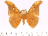  ( - BC-ULP0453)  @13 [ ] Copyright (2010) Unspecified Research Collection of Ulrich and Laela H. Paukstadt