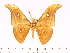  ( - BC-ULP0454)  @11 [ ] Copyright (2010) Unspecified Research Collection of Ulrich and Laela H. Paukstadt
