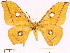  ( - BC-ULP0477)  @11 [ ] Copyright (2010) Unspecified Research Collection of Ulrich and Laela H. Paukstadt