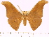  ( - BC-ULP0499)  @14 [ ] Copyright (2010) Unspecified Research Collection of Ulrich and Laela H. Paukstadt
