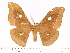  ( - BC-ULP0502)  @14 [ ] Copyright (2010) Unspecified Research Collection of Ulrich and Laela H. Paukstadt