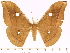  ( - BC-ULP0506)  @15 [ ] Copyright (2010) Unspecified Research Collection of Ulrich and Laela H. Paukstadt