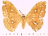  ( - BC-ULP0527)  @12 [ ] Copyright (2010) Unspecified Research Collection of Ulrich and Laela H. Paukstadt