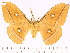  ( - BC-ULP0530)  @11 [ ] Copyright (2010) Unspecified Research Collection of Ulrich and Laela H. Paukstadt