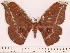  ( - BC-ULP0598)  @14 [ ] Copyright (2010) Unspecified Research Collection of Ulrich and Laela H. Paukstadt