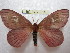 ( - BC-EvS 0029)  @14 [ ] Copyright (2010) Unspecified Research Collection of Eric Van Schayck