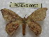  ( - BC-EvS 0063)  @13 [ ] Copyright (2010) Unspecified Research Collection of Eric Van Schayck