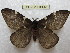  ( - BC-EvS 0092)  @13 [ ] Copyright (2010) Unspecified Research Collection of Eric Van Schayck