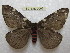  ( - BC-EvS 0093)  @13 [ ] Copyright (2010) Unspecified Research Collection of Eric Van Schayck