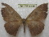  ( - BC-EvS 0119)  @13 [ ] Copyright (2010) Unspecified Research Collection of Eric Van Schayck