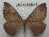  ( - BC-EvS 0120)  @13 [ ] Copyright (2010) Unspecified Research Collection of Eric Van Schayck