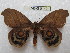  ( - BC-EvS 0149)  @13 [ ] Copyright (2010) Unspecified Research Collection of Eric Van Schayck