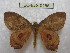  ( - BC-EvS 0155)  @13 [ ] Copyright (2010) Unspecified Research Collection of Eric Van Schayck