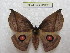  ( - BC-EvS 0165)  @14 [ ] Copyright (2010) Unspecified Research Collection of Eric Van Schayck