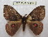 ( - BC-EvS 0169)  @14 [ ] Copyright (2010) Unspecified Research Collection of Eric Van Schayck