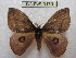  ( - BC-EvS 0170)  @14 [ ] Copyright (2010) Unspecified Research Collection of Eric Van Schayck
