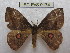  ( - BC-EvS 0174)  @14 [ ] Copyright (2010) Unspecified Research Collection of Eric Van Schayck
