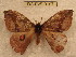  ( - BC-EvS 0197)  @13 [ ] Copyright (2010) Unspecified Research Collection of Eric Van Schayck