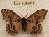  ( - BC-EvS 0214)  @11 [ ] Copyright (2010) Unspecified Research Collection of Eric Van Schayck