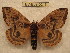  ( - BC-EvS 0215)  @14 [ ] Copyright (2010) Unspecified Research Collection of Eric Van Schayck
