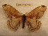  ( - BC-EvS 0235)  @14 [ ] Copyright (2010) Unspecified Research Collection of Eric Van Schayck
