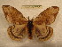  ( - BC-EvS 0236)  @14 [ ] Copyright (2010) Unspecified Research Collection of Eric Van Schayck