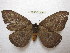  ( - BC-EvS 0270)  @13 [ ] Copyright (2010) Unspecified Research Collection of Eric Van Schayck