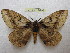  ( - BC-EvS 0298)  @14 [ ] Copyright (2010) Unspecified Research Collection of Eric Van Schayck