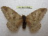  ( - BC-EvS 0322)  @11 [ ] Copyright (2010) Unspecified Research Collection of Eric Van Schayck