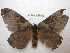  ( - BC-EvS 0353)  @12 [ ] Copyright (2010) Unspecified Research Collection of Eric Van Schayck
