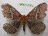  ( - BC-EvS 0387)  @12 [ ] Copyright (2010) Unspecified Research Collection of Eric Van Schayck