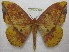  ( - BC-EvS 0390)  @14 [ ] Copyright (2010) Unspecified Research Collection of Eric Van Schayck