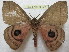  ( - BC-EvS 0393)  @13 [ ] Copyright (2010) Unspecified Research Collection of Eric Van Schayck
