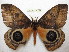  ( - BC-EvS 0398)  @14 [ ] Copyright (2010) Unspecified Research Collection of Eric Van Schayck