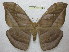  ( - BC-EvS 0440)  @14 [ ] Copyright (2010) Unspecified Research Collection of Eric Van Schayck
