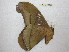  ( - BC-EvS 0570)  @13 [ ] Copyright (2010) Eric Van Schayck Unspecified