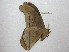  ( - BC-EvS 0571)  @13 [ ] Copyright (2010) Eric Van Schayck Unspecified