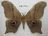  ( - BC-EvS 0609)  @14 [ ] Copyright (2010) Eric Van Schayck Unspecified