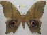  ( - BC-EvS 0610)  @14 [ ] Copyright (2010) Eric Van Schayck Unspecified