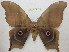  ( - BC-EvS 0615)  @14 [ ] Copyright (2010) Eric Van Schayck Unspecified