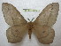  ( - BC-EvS 0627)  @13 [ ] Copyright (2010) Eric Van Schayck Unspecified
