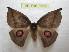  ( - BC-EvS 0902)  @13 [ ] Copyright (2010) Eric Van Schayck Unspecified