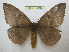  ( - BC-EvS 0919)  @14 [ ] Copyright (2010) Eric Van Schayck Unspecified
