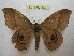  ( - BC-EvS 0922)  @14 [ ] Copyright (2010) Eric Van Schayck Unspecified