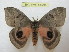  ( - BC-EvS 0938)  @13 [ ] Copyright (2010) Eric Van Schayck Unspecified