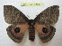  ( - BC-EvS 0939)  @13 [ ] Copyright (2010) Eric Van Schayck Unspecified